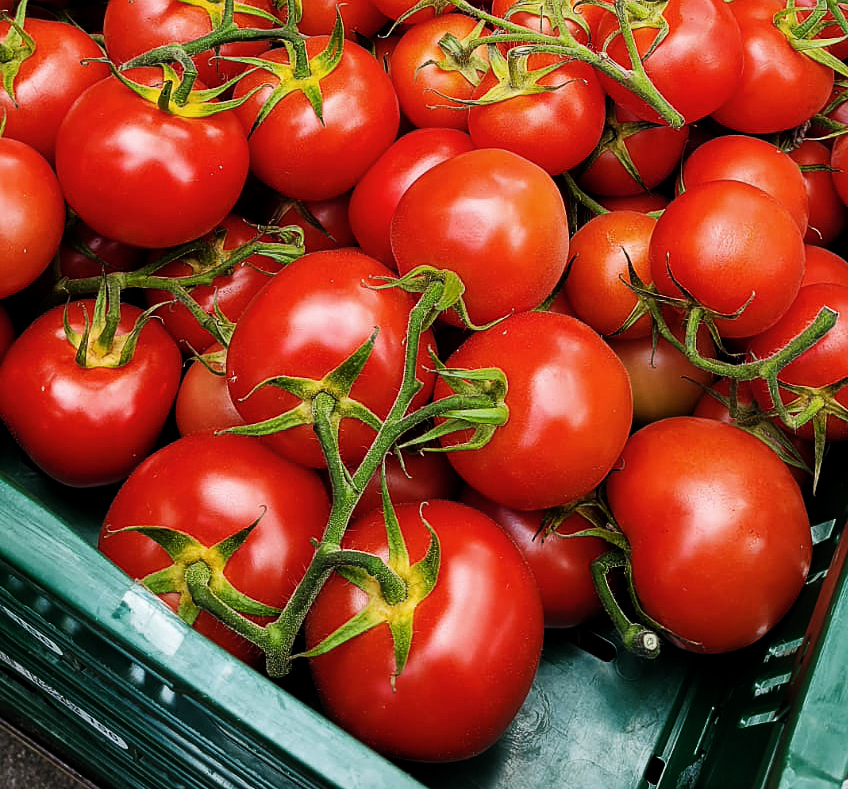 vita-maia-tomaten.jpg